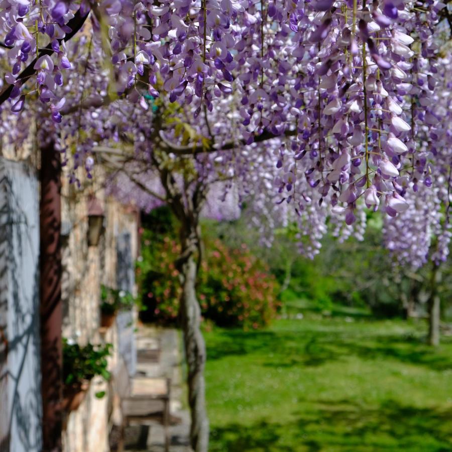 Affittacamere Il Casale del Duca Urbino Esterno foto